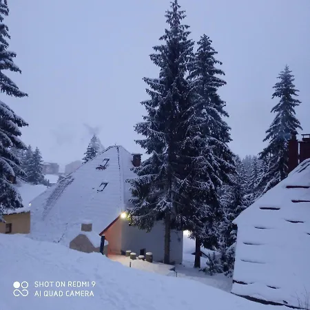 Druga Prica * Власич