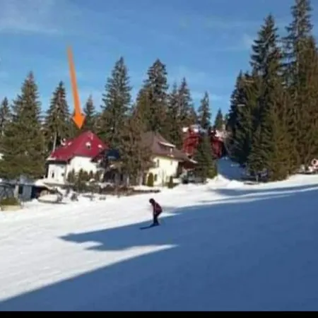 Деревянный коттедж Druga Prica *