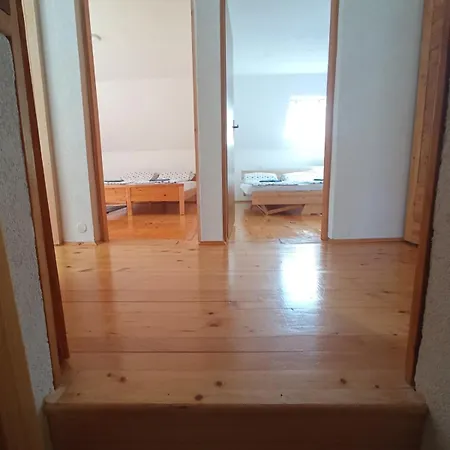 Druga Prica Власич